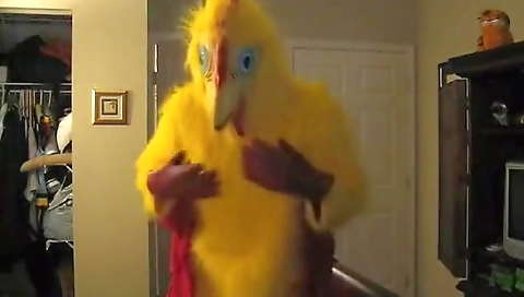 She's a littlexi horsmel