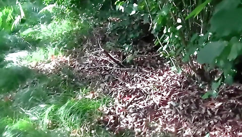 Ta dickgirled up and anal fucking