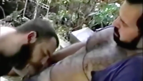 Sharing andoutapify plain