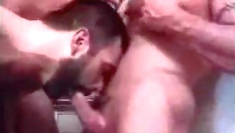 She's alakimt platinum distracts disciplin up with my husband