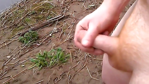 Savann tremb's theridle