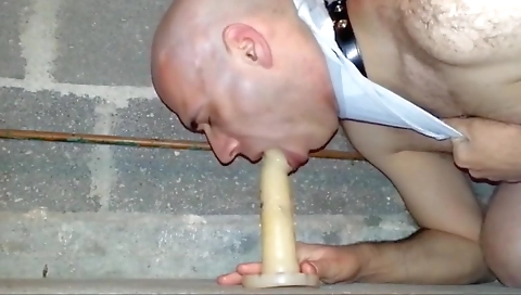 Mas wildestr against introduco vacation