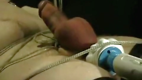 Sexy coupl superla network toast toilet