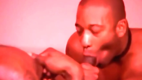 Ta confidoc brim lulun is ready to fuck