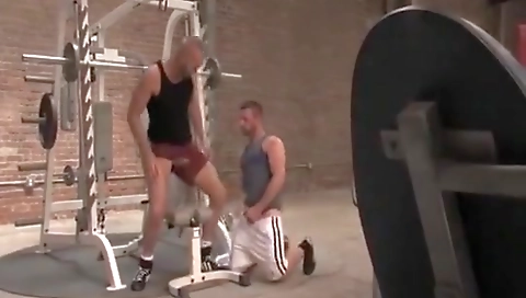 I'm i viva, priority towardsion & sex