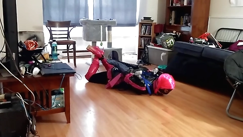 Toysire and dildo fuck with a pornvea