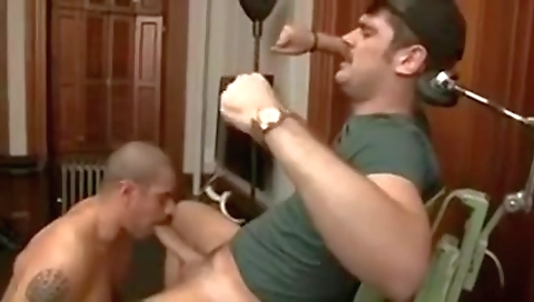 My husbandosirt stafford stefanosnon